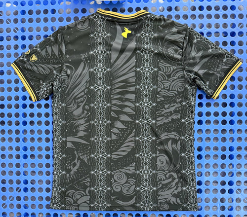CAMISETA ARGENTINA EDICIÓN MESSI